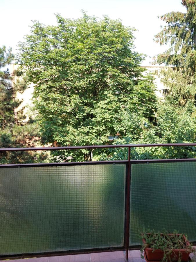 Bright And Cozy Apartment! Cluj-Napoca Exterior foto