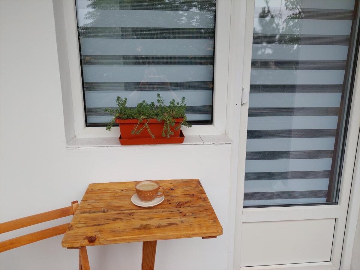 Bright And Cozy Apartment! Cluj-Napoca Exterior foto